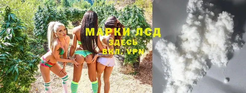 ссылка на мегу как войти  Короча  LSD-25 экстази кислота 